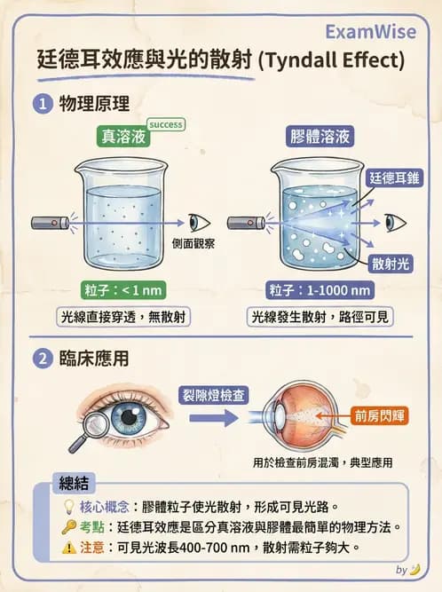 驗光師 - 折射定律、反射與光學現象 - AI 圖文解析預覽