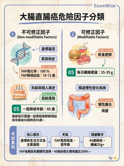 護理師 - 消化系統癌症護理 - AI 圖文解析預覽