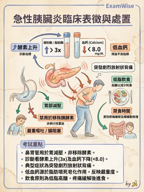 護理師 - 肝膽胰疾病 - AI 圖文解析預覽