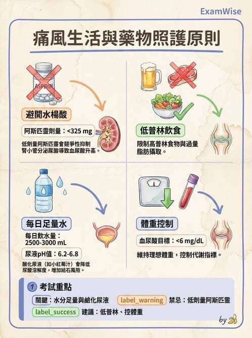 護理師 - 關節疾病與骨科手術 - AI 圖文解析預覽
