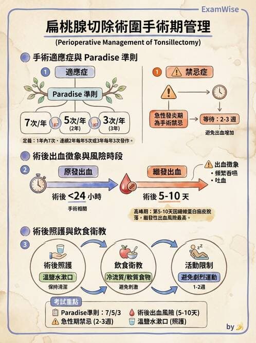 護理師 - 耳鼻喉疾病 - AI 圖文解析預覽