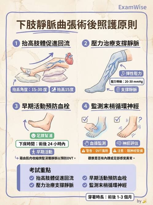 護理師 - 高血壓與周邊血管疾病 - AI 圖文解析預覽