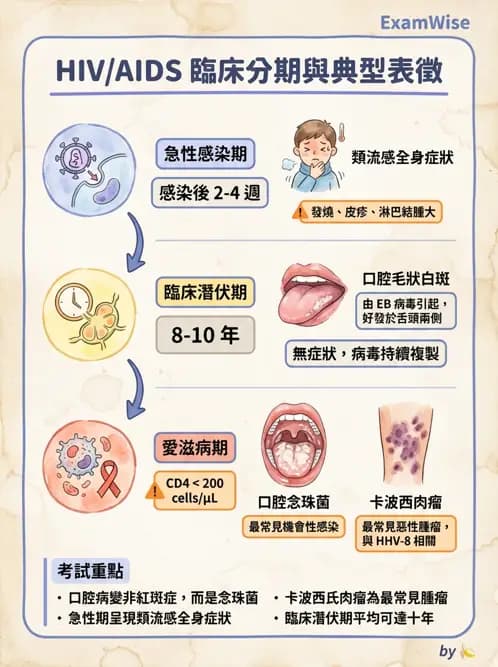 護理師 - 器官移植與AIDS - AI 圖文解析預覽