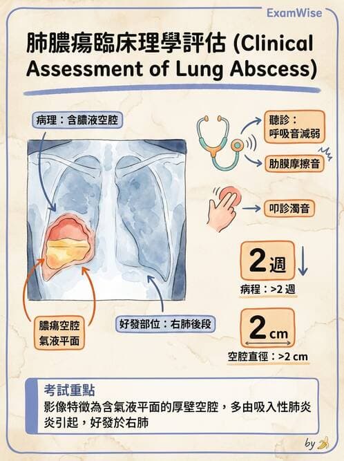 護理師 - 肺炎與呼吸道感染 - AI 圖文解析預覽