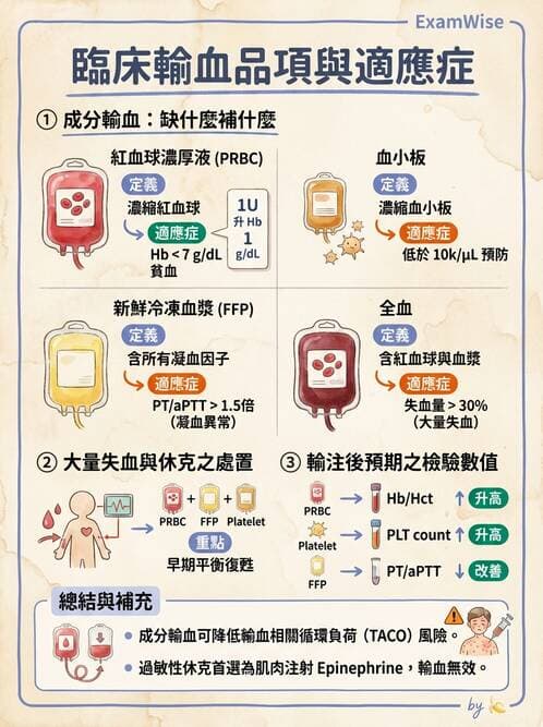 護理師 - 貧血與凝血疾病 - AI 圖文解析預覽