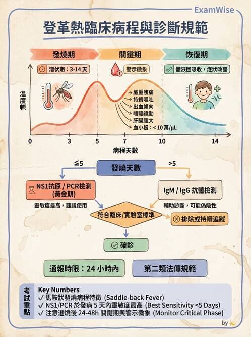 護理師 - 傳染病護理 - AI 圖文解析預覽