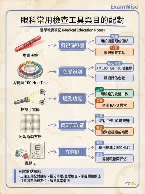 驗光師 - 眼外肌運動與眼位初步檢查 - AI 圖文解析預覽