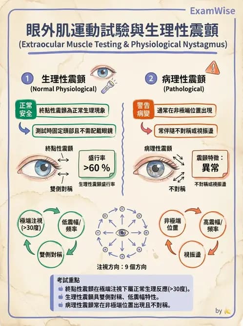 驗光師 - 眼外肌運動與眼位初步檢查 - AI 圖文解析預覽