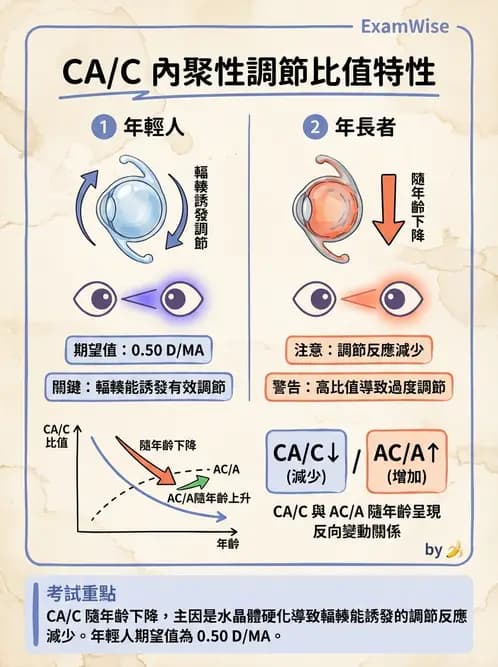 驗光師 - 調節性內聚力與聚散功能檢測 - AI 圖文解析預覽