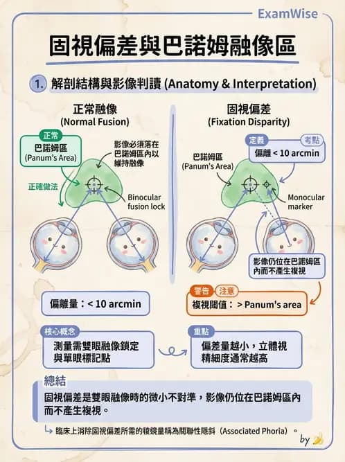 驗光師 - 固視偏差與雙眼視覺評估 - AI 圖文解析預覽