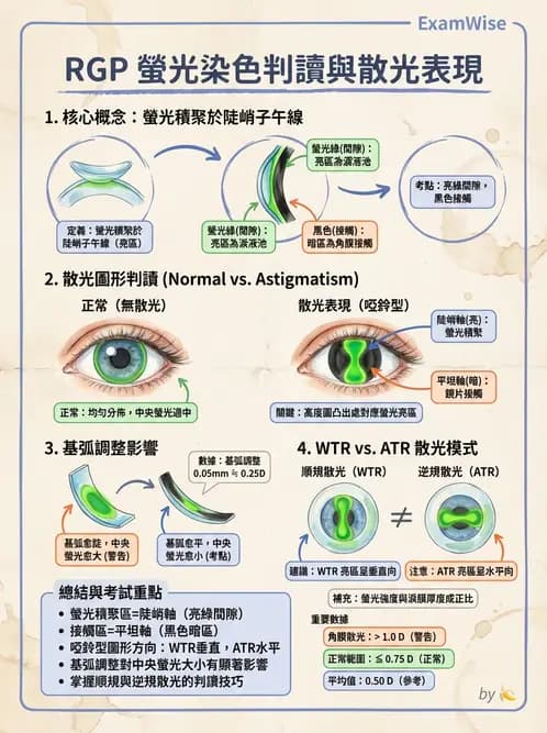 驗光師 - 裂隙燈與角膜弧度檢查 - AI 圖文解析預覽