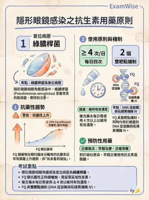 驗光師 - 感染性角膜炎與急性紅眼 - AI 圖文解析預覽