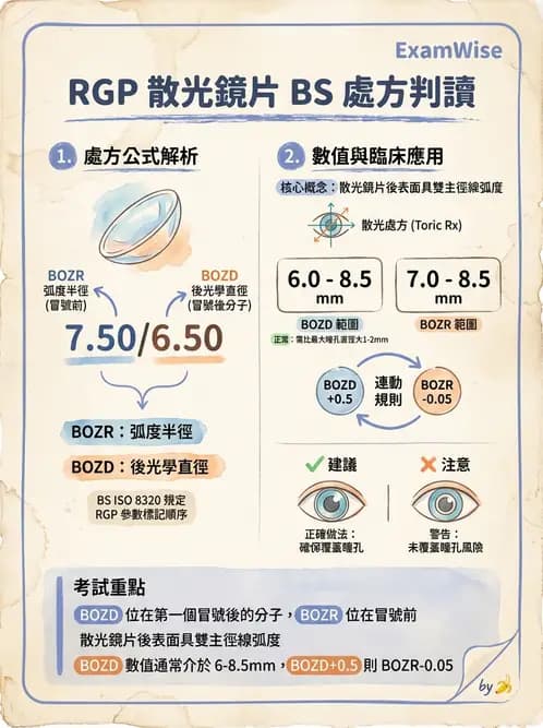 驗光師 - 隱形眼鏡設計 - AI 圖文解析預覽
