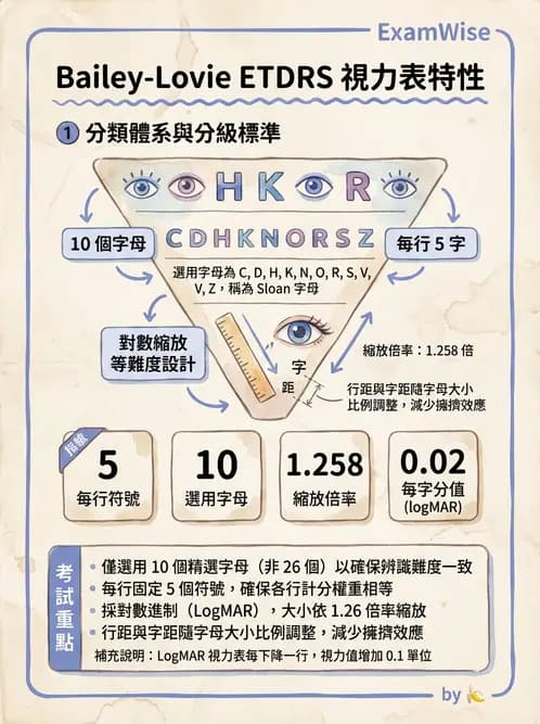 驗光師 - 視力表與視力量測 - AI 圖文解析預覽