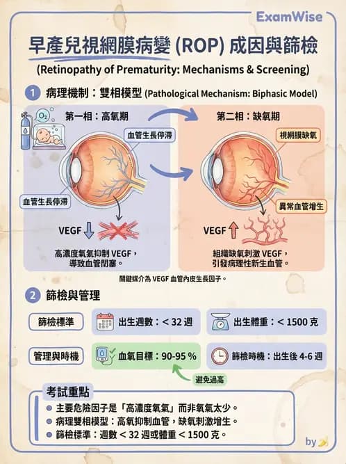驗光師 - 視網膜疾病 - AI 圖文解析預覽