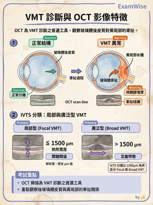 驗光師 - 視網膜疾病 - AI 圖文解析預覽
