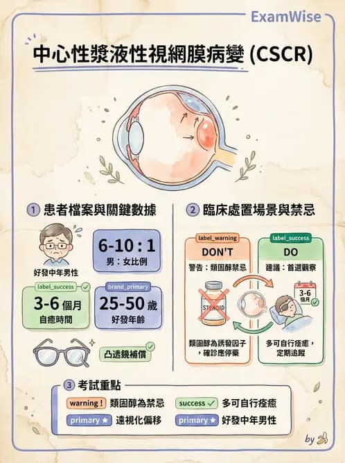 驗光師 - 視網膜疾病 - AI 圖文解析預覽