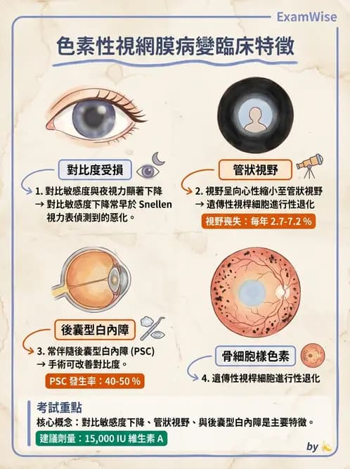 驗光師 - 遺傳性視網膜及色素疾病 - AI 圖文解析預覽