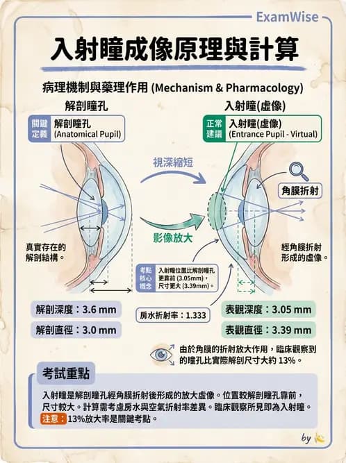 驗光師 - 眼球屈光系統基本原理 - AI 圖文解析預覽