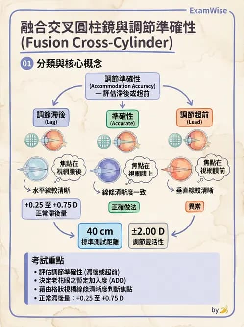 驗光師 - 老花眼主觀驗光與相對調節力 - AI 圖文解析預覽