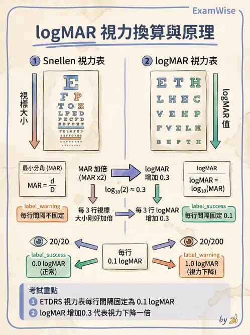 驗光師 - 視力表與視力量測 - AI 圖文解析預覽