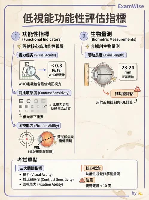 驗光師 - 視力表與視力量測 - AI 圖文解析預覽