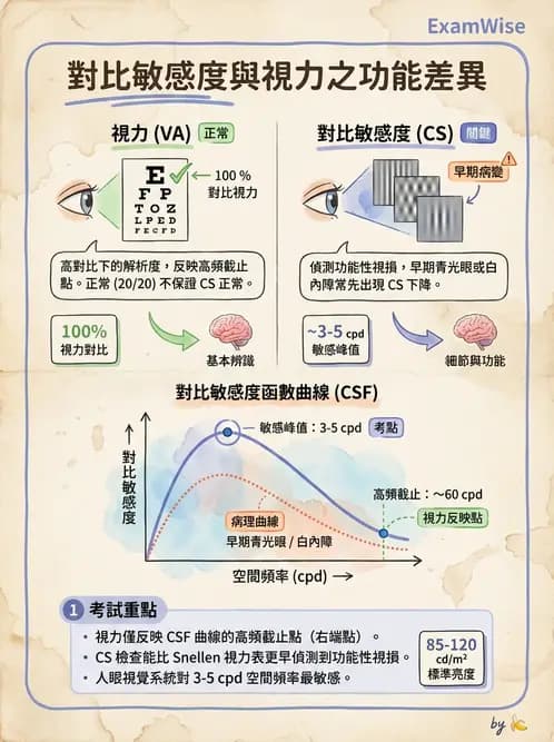 驗光師 - 功能性評估、對比敏感度與色覺 - AI 圖文解析預覽