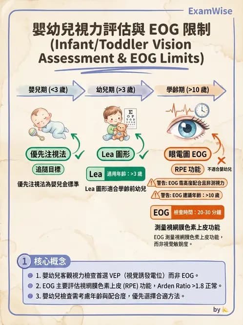 驗光師 - 視野評估與特殊族群檢查 - AI 圖文解析預覽