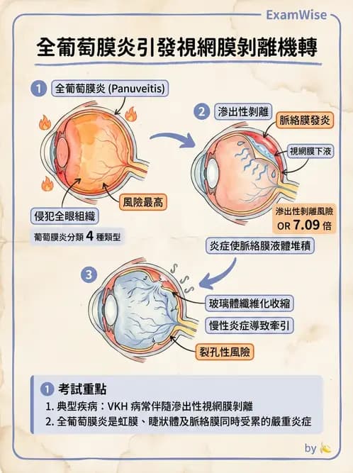 驗光師 - 視網膜疾病 - AI 圖文解析預覽