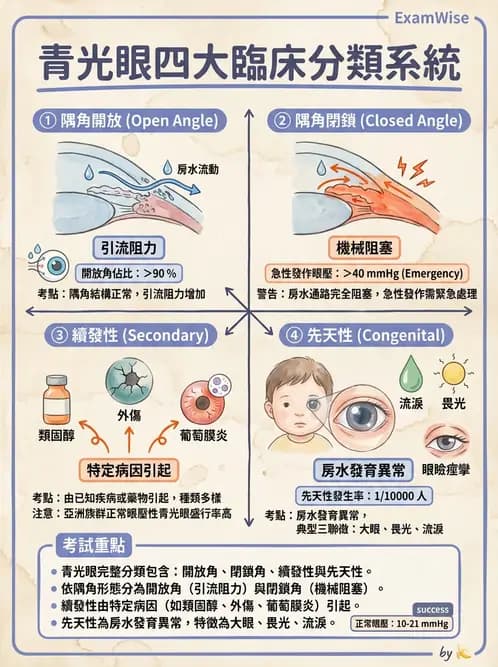 驗光師 - 青光眼分類、病因與危險因子 - AI 圖文解析預覽