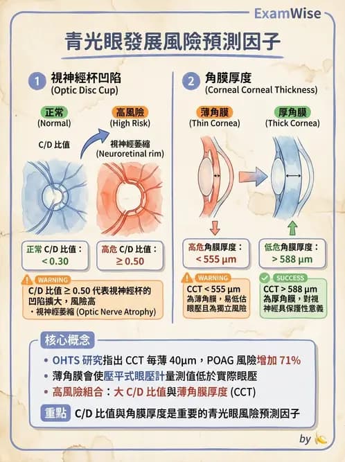 驗光師 - 青光眼診斷與治療 - AI 圖文解析預覽