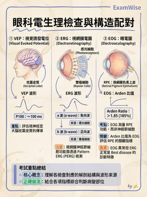 驗光師 - 視覺生理與檢查 - AI 圖文解析預覽