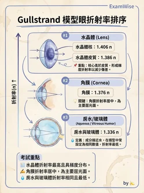 驗光師 - 眼球屈光系統基本原理 - AI 圖文解析預覽