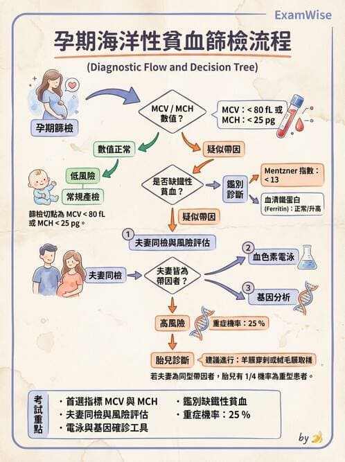 護理師 - 產前篩檢與遺傳診斷 - AI 圖文解析預覽