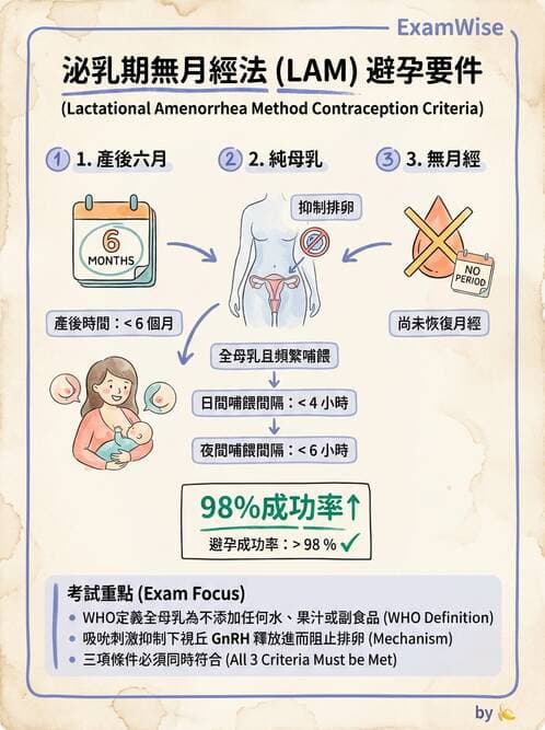 護理師 - 母乳哺餵 - AI 圖文解析預覽