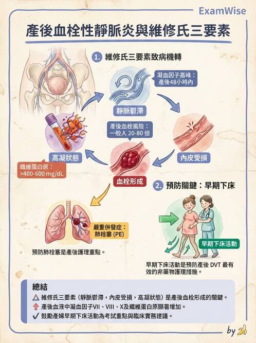 護理師 - 產後心理併發症與家庭計畫 - AI 圖文解析預覽
