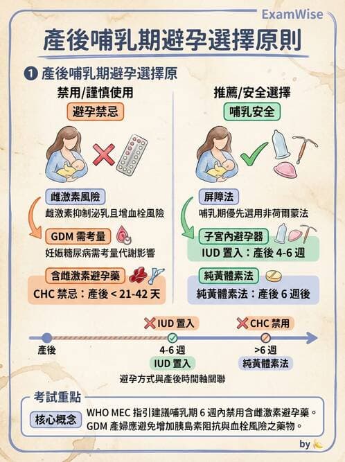 護理師 - 高危險妊娠 - AI 圖文解析預覽