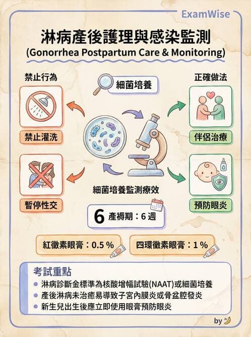 護理師 - 婦科腫瘤與感染 - AI 圖文解析預覽