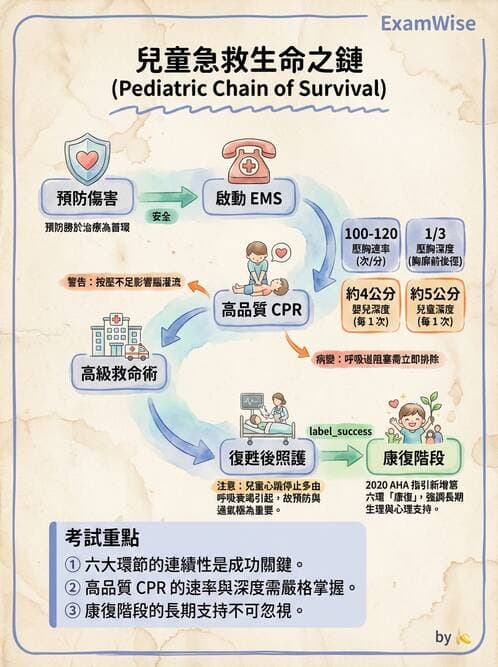 護理師 - 兒童急症與燒傷護理 - AI 圖文解析預覽