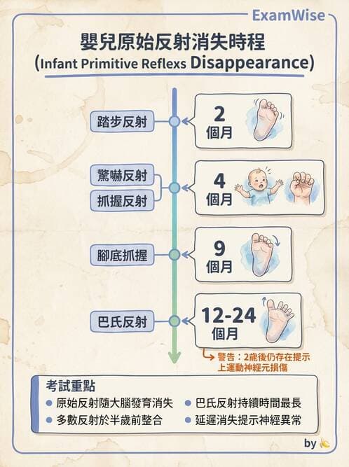 護理師 - 兒童生長發展與評估 - AI 圖文解析預覽