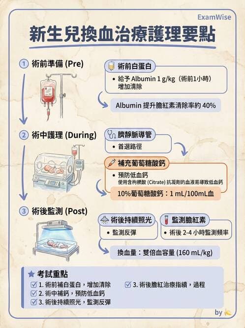 護理師 - 高危險新生兒 - AI 圖文解析預覽