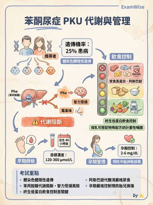 護理師 - 兒童內分泌與代謝疾病 - AI 圖文解析預覽