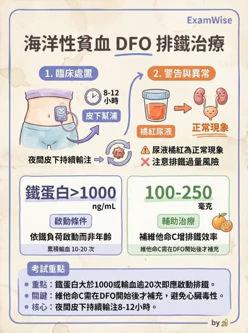 護理師 - 兒童血液與腫瘤疾病 - AI 圖文解析預覽