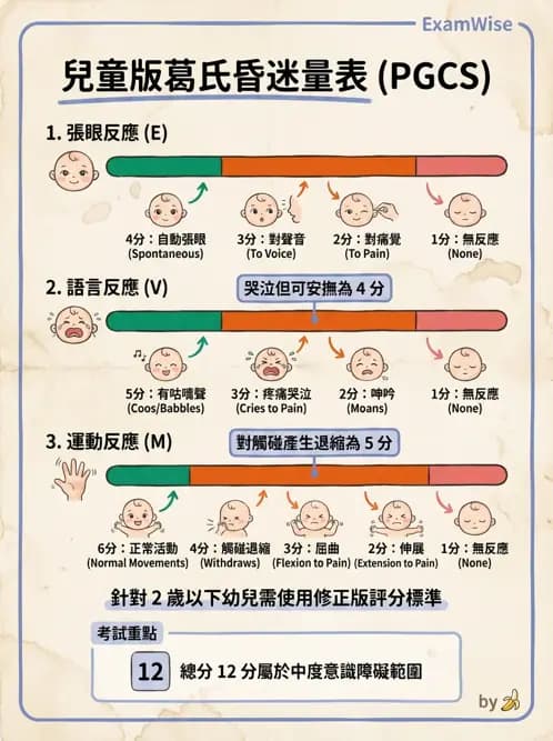 護理師 - 兒童基本護理評估技術 - AI 圖文解析預覽