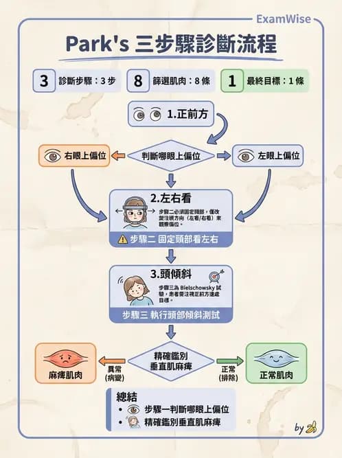 驗光師 - 眼外肌運動與眼位初步檢查 - AI 圖文解析預覽