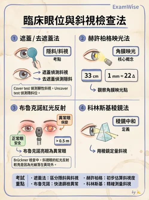 驗光師 - 眼外肌運動與眼位初步檢查 - AI 圖文解析預覽