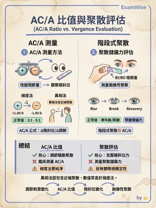 驗光師 - 調節性內聚力與聚散功能檢測 - AI 圖文解析預覽