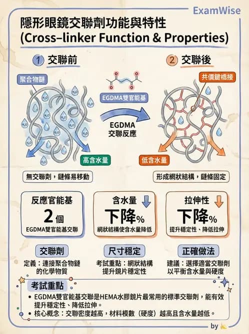 驗光師 - 軟式鏡片單體與化學分類 - AI 圖文解析預覽