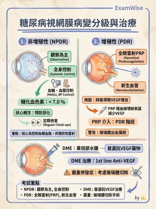 驗光師 - 糖尿病眼部病變 - AI 圖文解析預覽