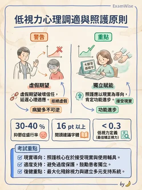 驗光師 - 低視力復健與心理適應 - AI 圖文解析預覽